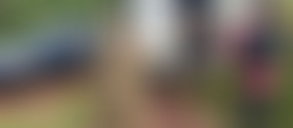 PRF e PM/PR apreendem van carregada com cigarros contrabandeados