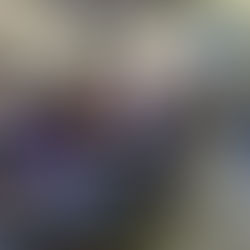 Palotina realiza 1ª reunião do Grupo Gestor de Educação Ambiental