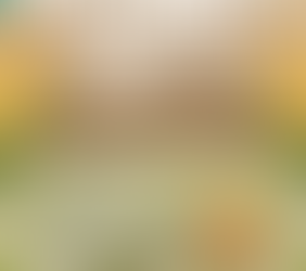 Domingueira Junina no Lago Municipal de Palotina