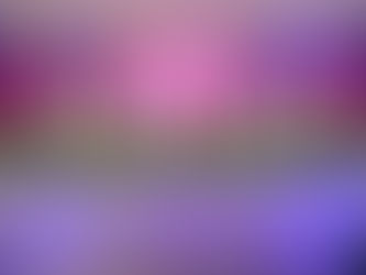 Evento em homenagem às mulheres reúne grande público em Palotina