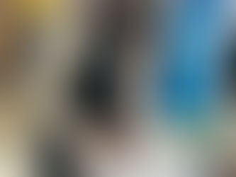 Vice-prefeita Judith Sendtko participa de encontro nacional em Brasília