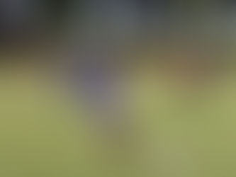 Futebol Suíço em Palotina