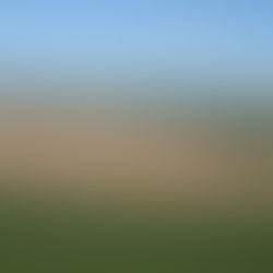 C.Vale alcança recordehistórico de produção