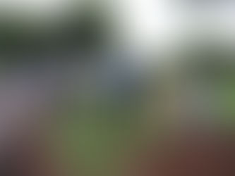 Deputado Gugu Bueno visita Palotina, ouve demandas e assume compromissos