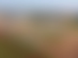 Dia de Campo C.Vale Muda e Agora é de Primavera