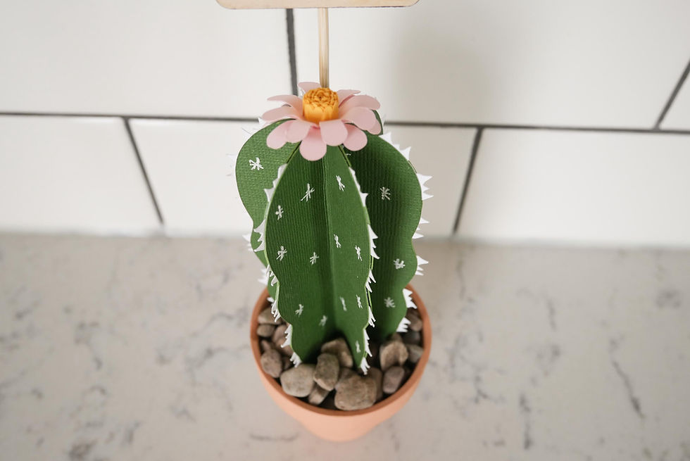 Thumbnail: Paper Cactus pot