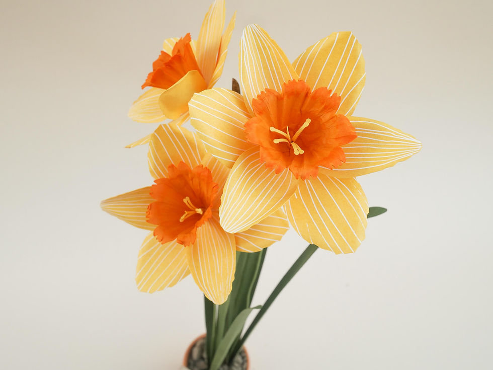 Thumbnail: Yellow Paper Daffodil