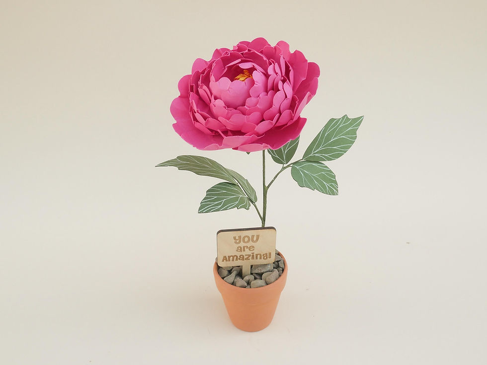 Thumbnail: Dark Pink Peony in a pot