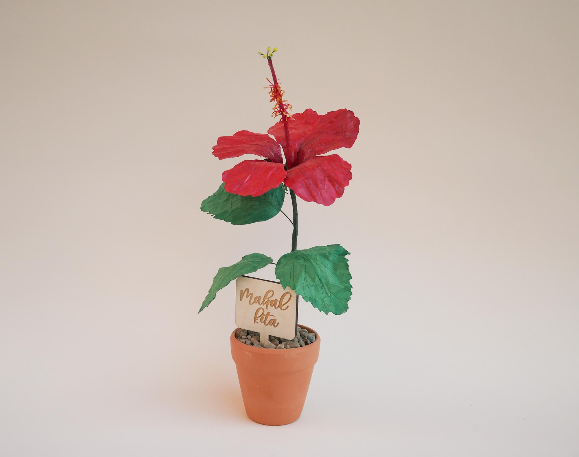 Paper Hibiscus