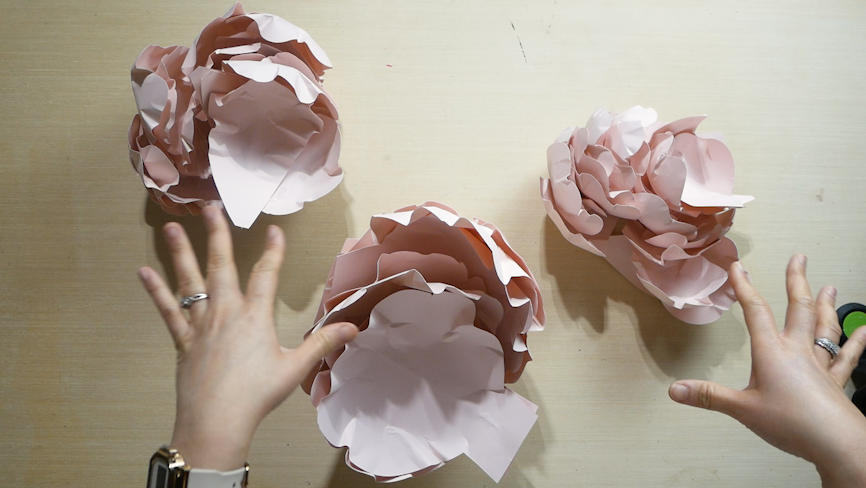 Thumbnail: Giant Paper Peony