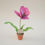 Thumbnail: Pink Paper Tulip in a pot
