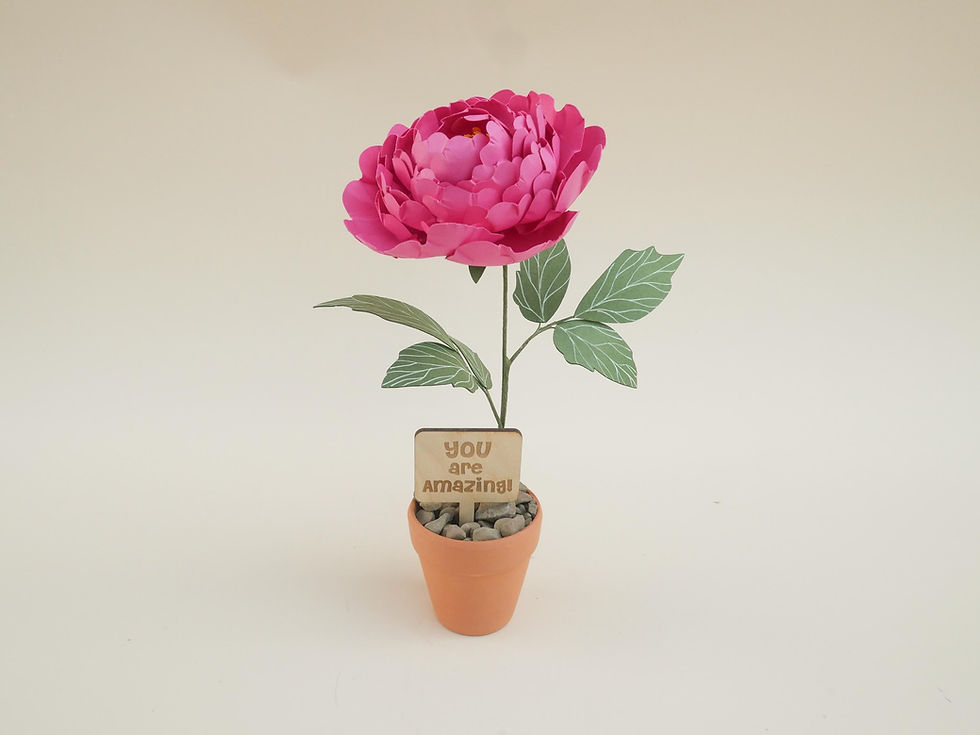 Thumbnail: Dark Pink Peony in a pot