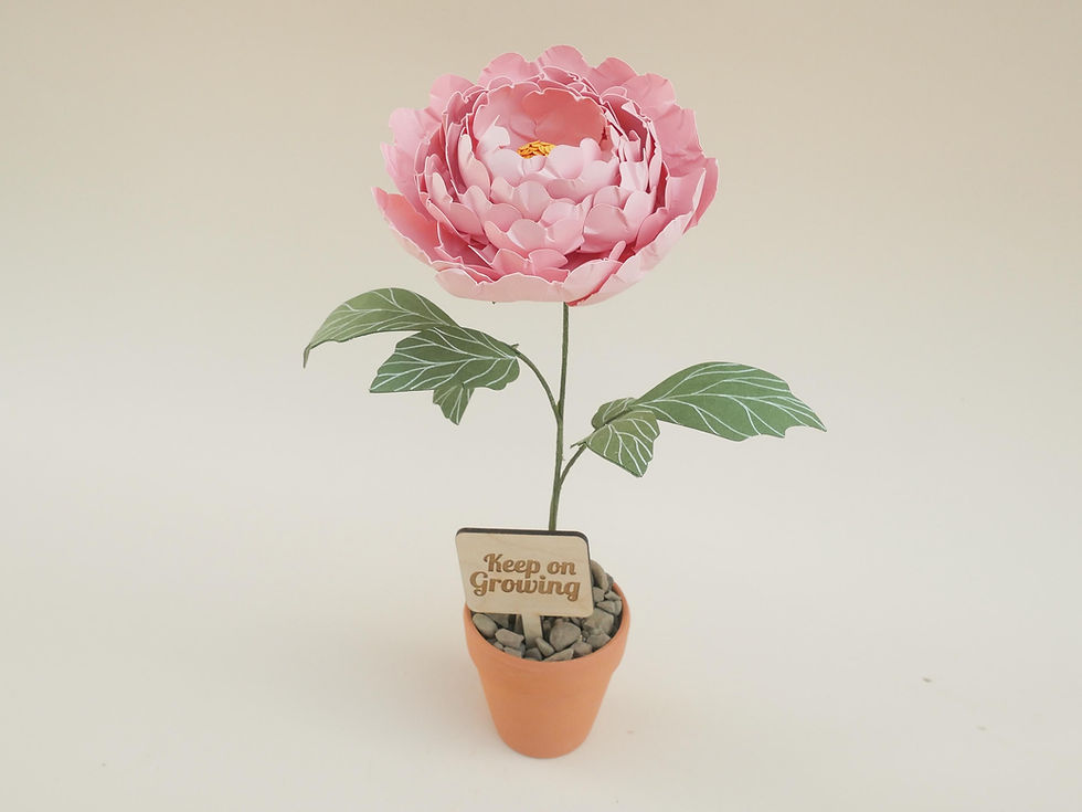 Thumbnail: Light Pink Peony in a pot
