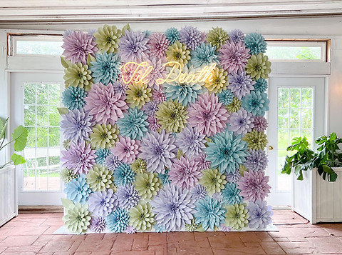 Rent Paper Flower Walls and backdrops in Rochester, New York