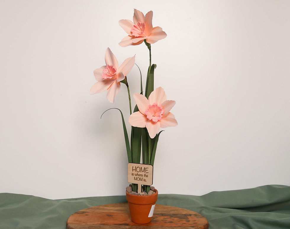 Thumbnail: Peach Paper Daffodil