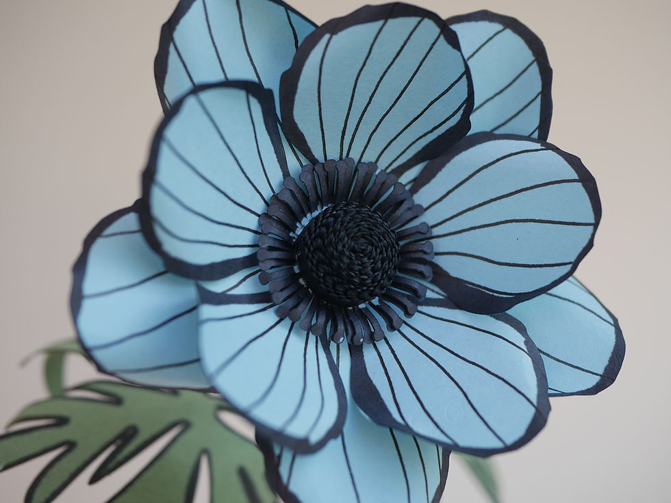 Thumbnail: Paper anemone