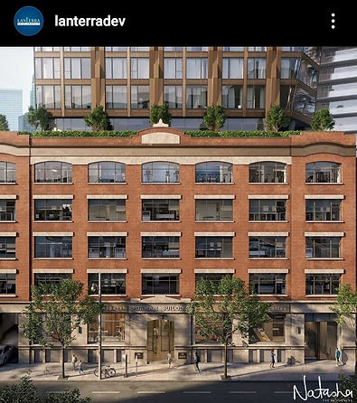 Natasha Condos_CITYVIEW (4).jpeg