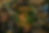 5A438324-1D91-48AF-9CE1-E091A98F5E6C.PNG