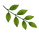 JUNE 2026 (15).png