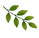 JUNE 2026 (15).png