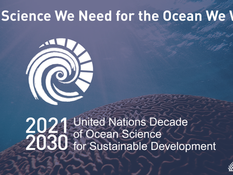 October 2021: IntelliReefs Endorsed for the UN Decade of Ocean Science