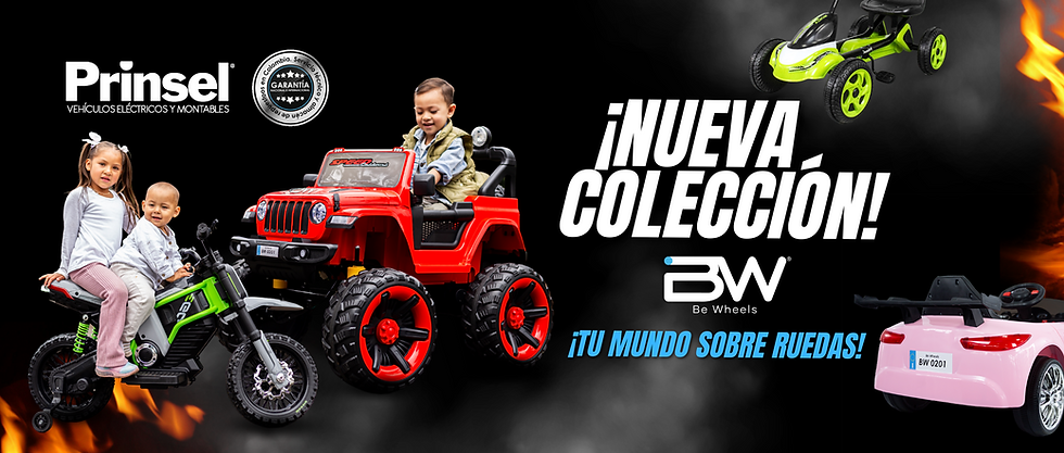 BANNER NUEVA COLECCIÓN BW - PRINSEL.png
