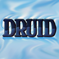 Druid