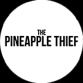 The Pineapple Thief