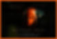 Affiche H_V1_HQ.jpg