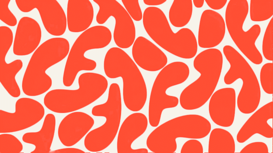 GIF LOGO FDB INICIO.gif