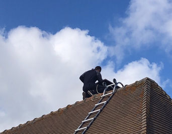 RGFpro 27 Ramonage et Destruction guêpes ou frelons Eure 27 