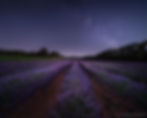 across europe ▹