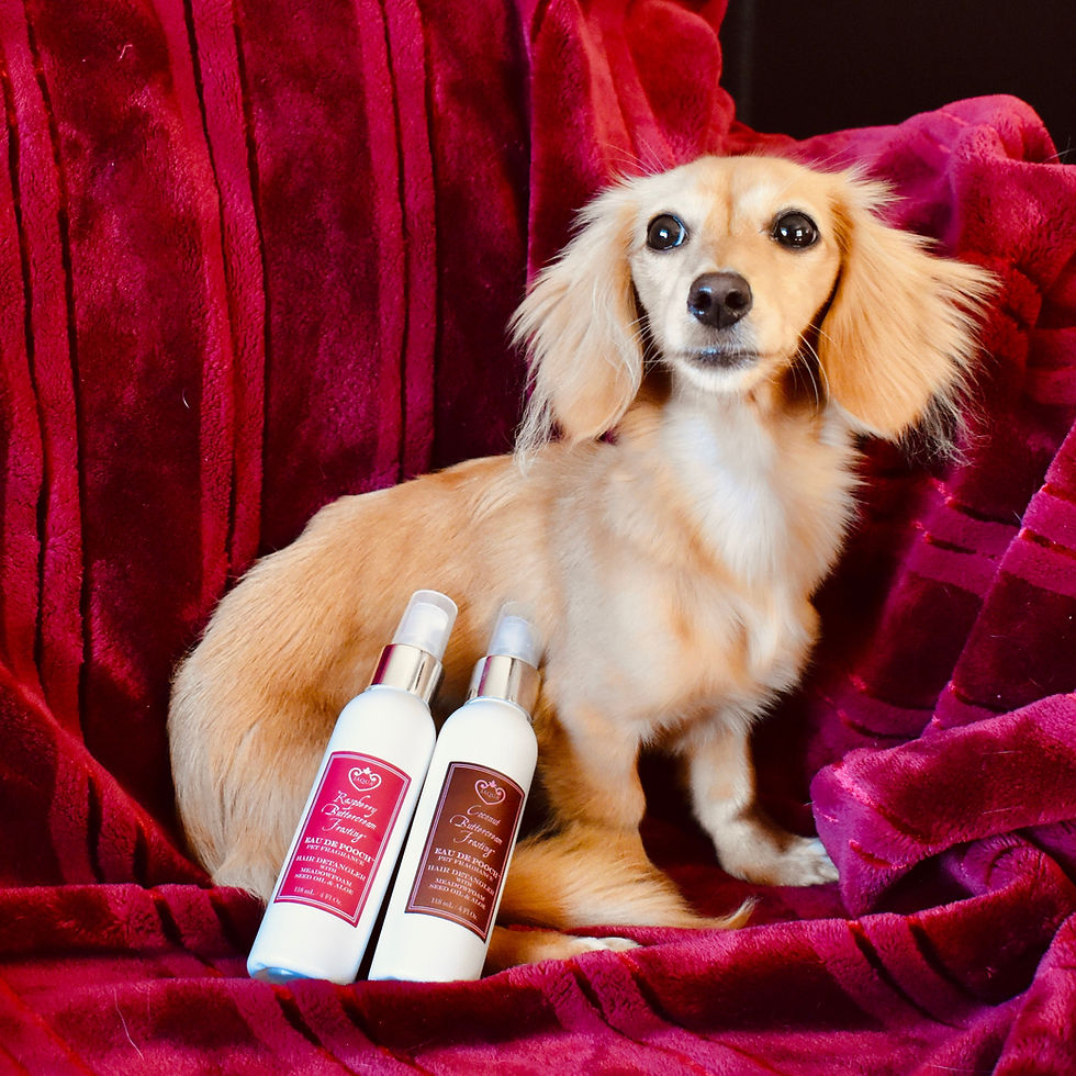 Thumbnail: Coconut Buttercream Frosting Eau De Pooch Pet Fragrance and Hair Detangler Spray