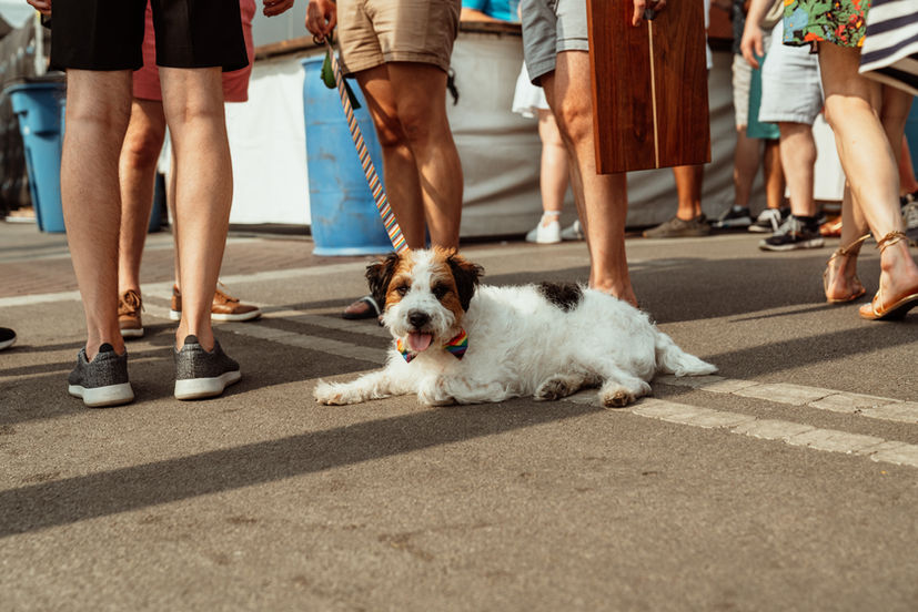 Midsommar - Final Edits -78