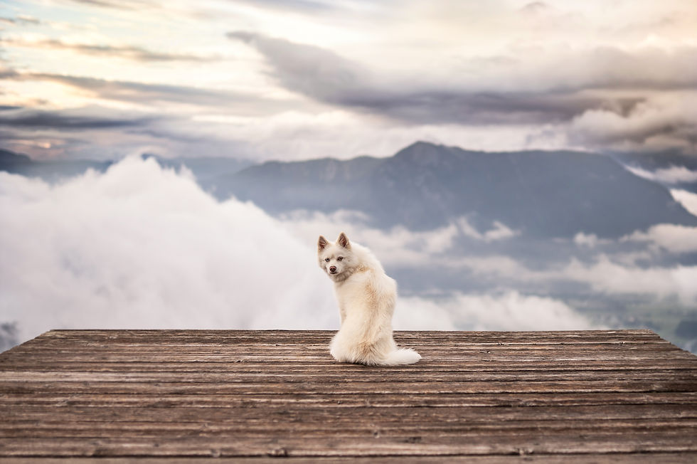 DSC01641 Kopie 2.jpg