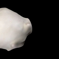 HAMILTON_FERPA.jpg