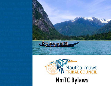 NmTC Bylaws image.jpg