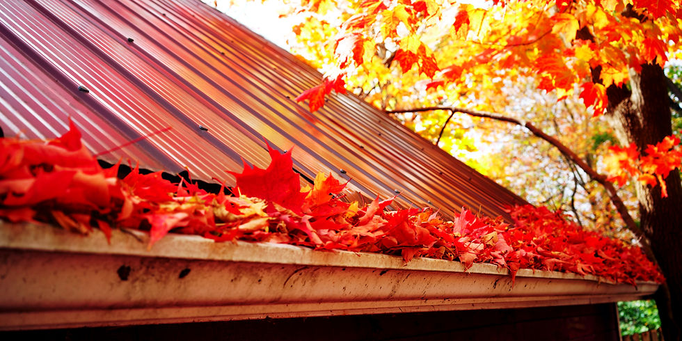 5 Signs That Your Gutters are Due for a Cleaning