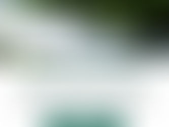 October 25th:Youth and Elders Talking Circle on the connection between native plants and fresh water