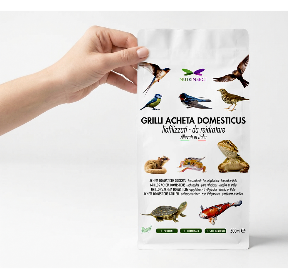 A hand holds a bag of "GRILLI ACHETA DOMESTICUS" with bird and reptile images. The white package features colorful text and animal graphics.