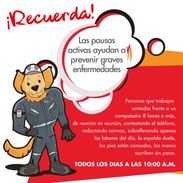 robin pausas-07.png