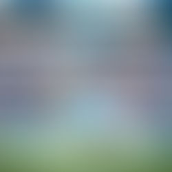 Charlotte FC defeat Miami and now look toward a historic play-in match against New York Red Bulls