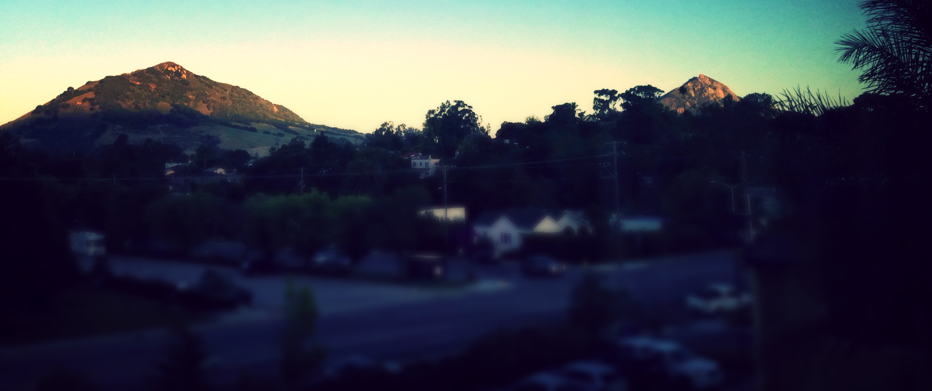 Michael La Puma, DMD