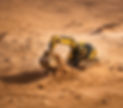 A Dinosaur sitting in the cabin of an excavator and using it to dig