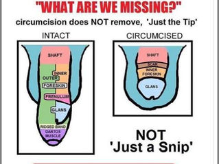 "What are we missing?" - REFUTED