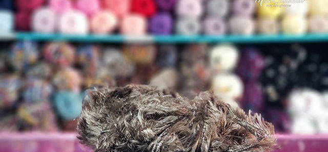 Miniatura: Soft 21043
