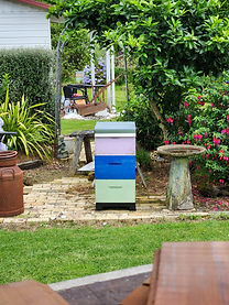 beehive backyard.jpg