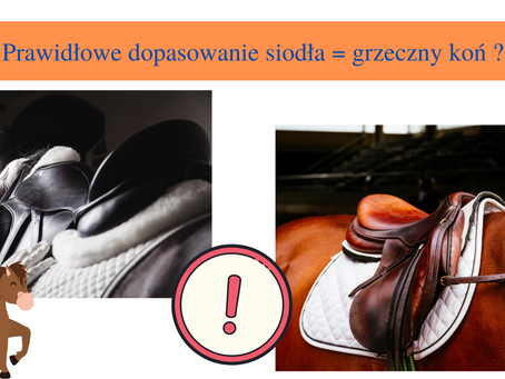 Dlaczego prawidłowe dopasowanie siodła jest tak ważne ?