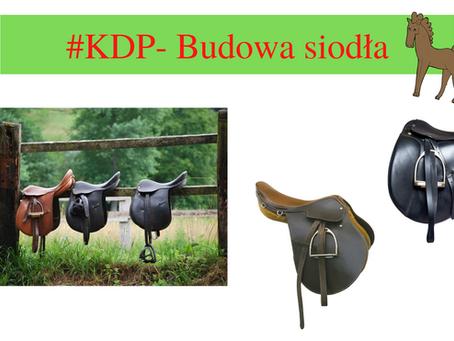 #KDP- Budowa siodła.
