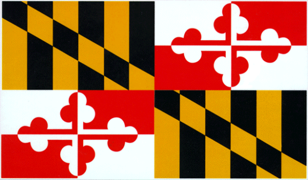 Maryland firearm law instruction